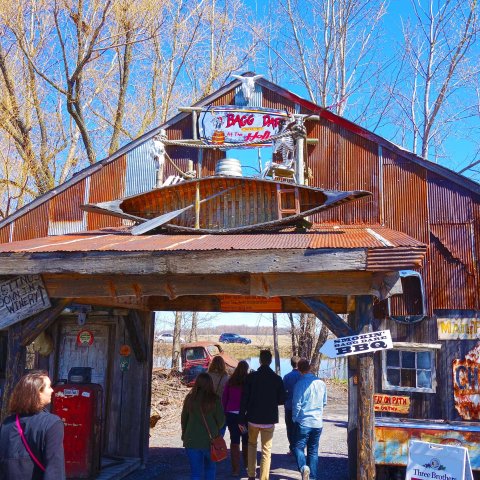 Bagg Dare Winery