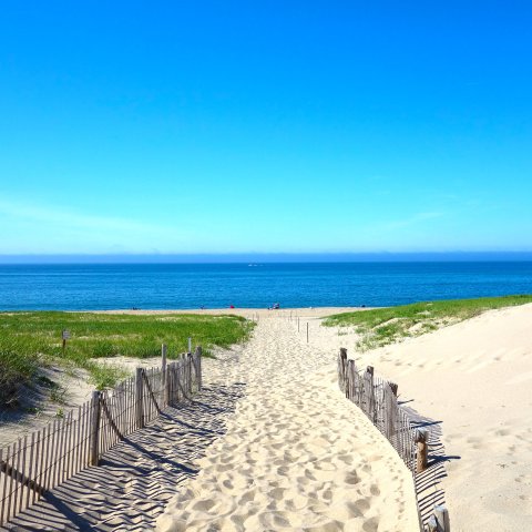 Cape Cod Beach