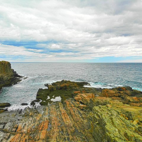 Maine Coast