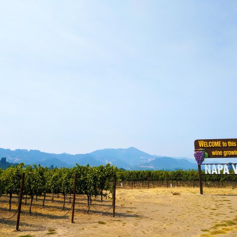 Nappa Valley Sign